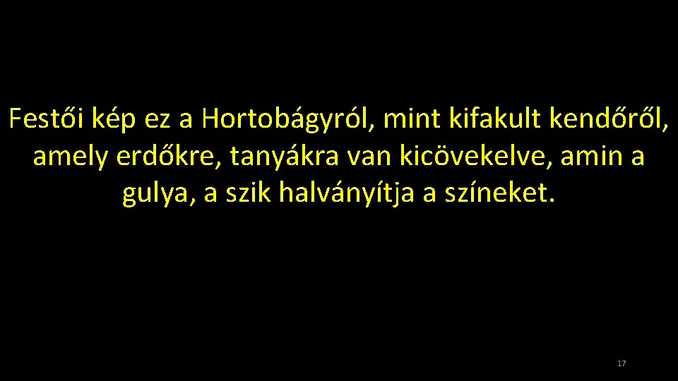 Festői kép ez a Hortobágyról, mint kifakult kendőről, amely erdőkre, tanyákra van kicövekelve, amin