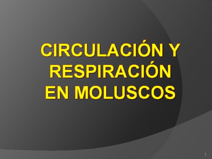 CIRCULACIÓN Y RESPIRACIÓN EN MOLUSCOS 1 