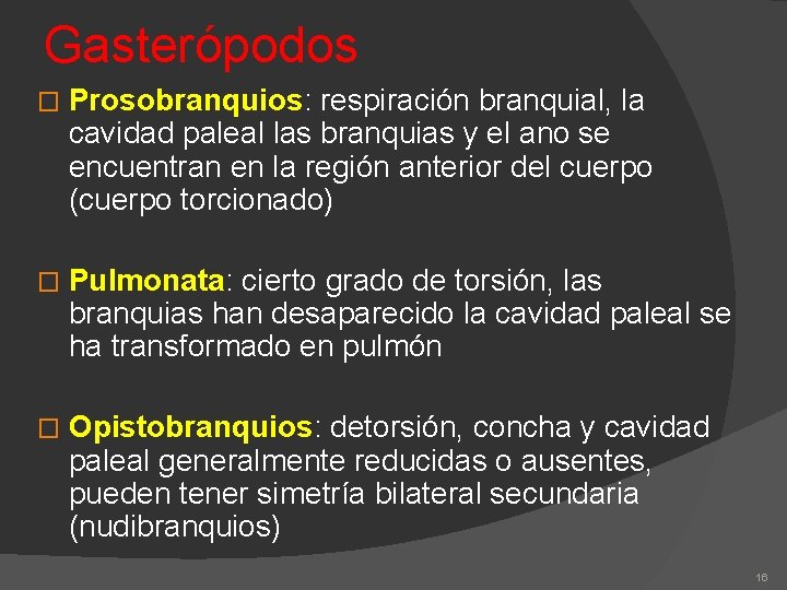 Gasterópodos � Prosobranquios: respiración branquial, la cavidad paleal las branquias y el ano se