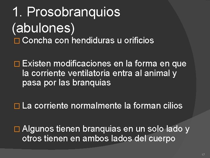 1. Prosobranquios (abulones) � Concha con hendiduras u orificios � Existen modificaciones en la