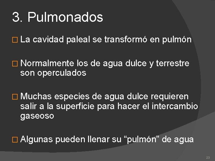 3. Pulmonados � La cavidad paleal se transformó en pulmón � Normalmente los de