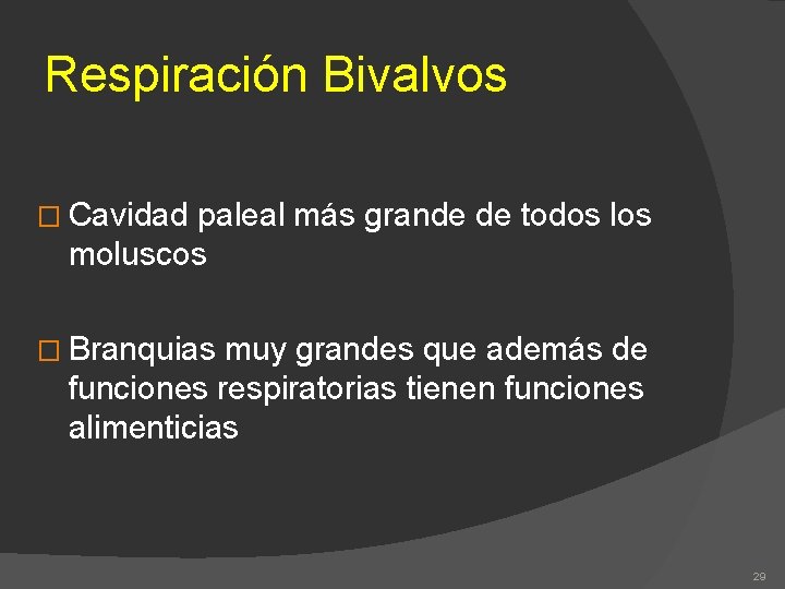 Respiración Bivalvos � Cavidad paleal más grande de todos los moluscos � Branquias muy