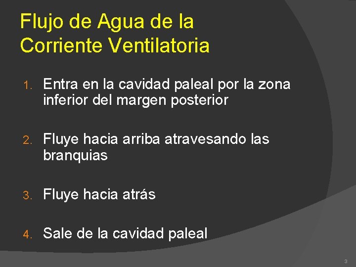 Flujo de Agua de la Corriente Ventilatoria 1. Entra en la cavidad paleal por