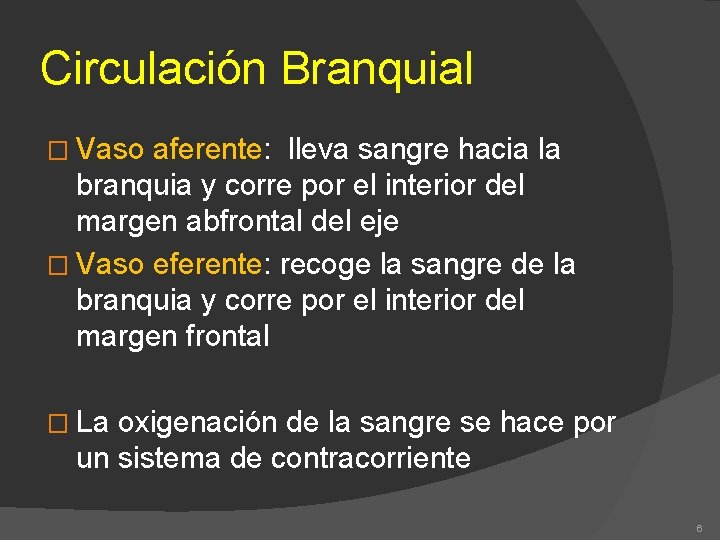 Circulación Branquial � Vaso aferente: lleva sangre hacia la branquia y corre por el