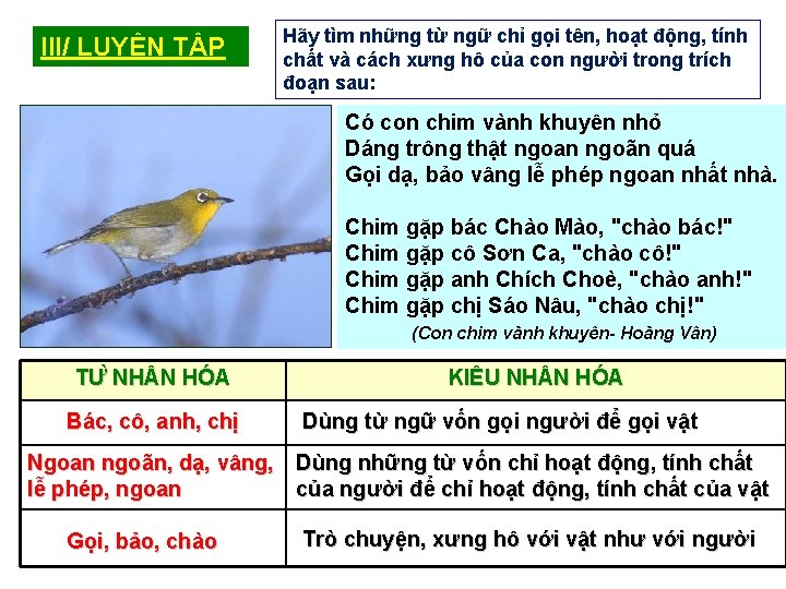 III/ LUYỆN TẬP Hãy tìm những từ ngữ chỉ gọi tên, hoạt động, tính