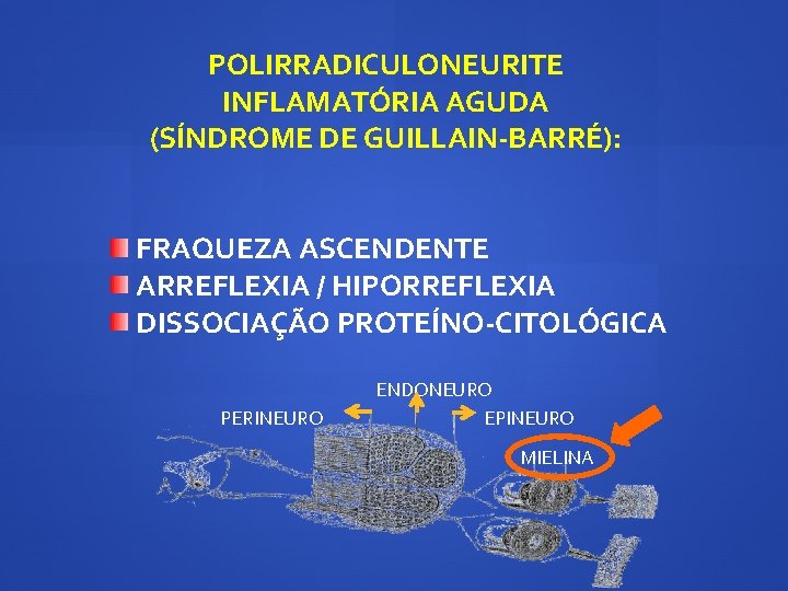 POLIRRADICULONEURITE INFLAMATÓRIA AGUDA (SÍNDROME DE GUILLAIN-BARRÉ): FRAQUEZA ASCENDENTE ARREFLEXIA / HIPORREFLEXIA DISSOCIAÇÃO PROTEÍNO-CITOLÓGICA PERINEURO