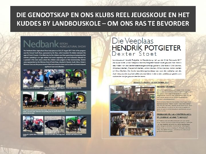 DIE GENOOTSKAP EN ONS KLUBS REEL JEUGSKOUE EN HET KUDDES BY LANDBOUSKOLE – OM