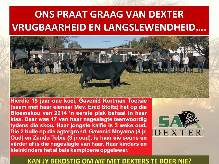 ONS PRAAT GRAAG VAN DEXTER VRUGBAARHEID EN LANGSLEWENDHEID…. 