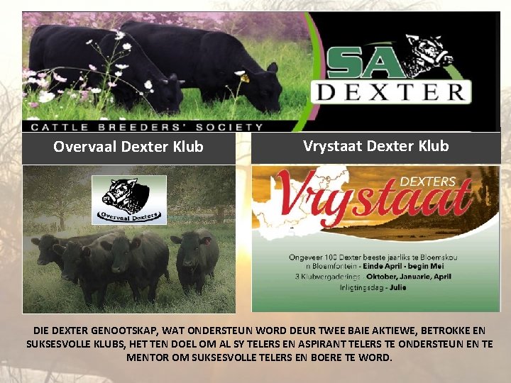 Overvaal Dexter Klub Vrystaat Dexter Klub DIE DEXTER GENOOTSKAP, WAT ONDERSTEUN WORD DEUR TWEE