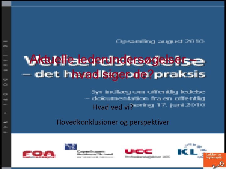 Aktuelle lederundersøgelser – hvad siger de? Hvad ved vi? Hovedkonklusioner og perspektiver 