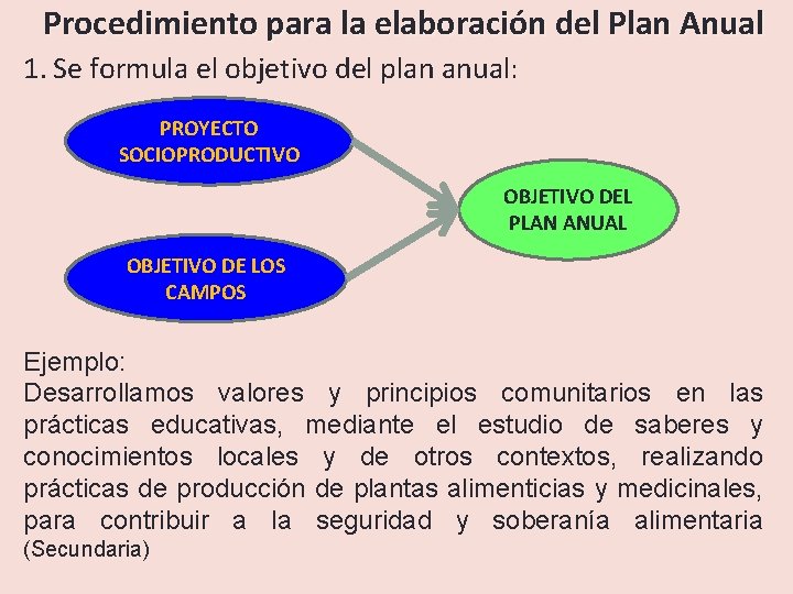 Procedimiento para la elaboración del Plan Anual 1. Se formula el objetivo del plan