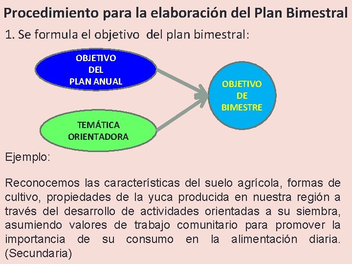 Procedimiento para la elaboración del Plan Bimestral 1. Se formula el objetivo del plan