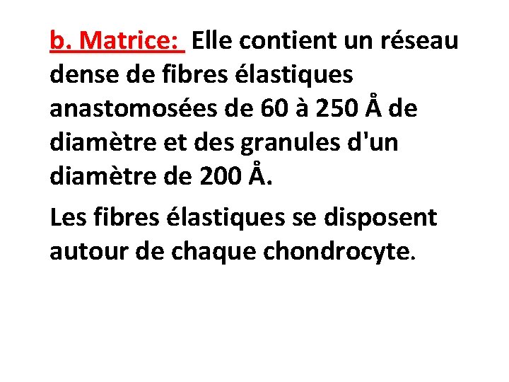 b. Matrice: Elle contient un réseau dense de fibres élastiques anastomosées de 60 à