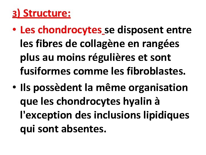 3) Structure: • Les chondrocytes se disposent entre les fibres de collagène en rangées