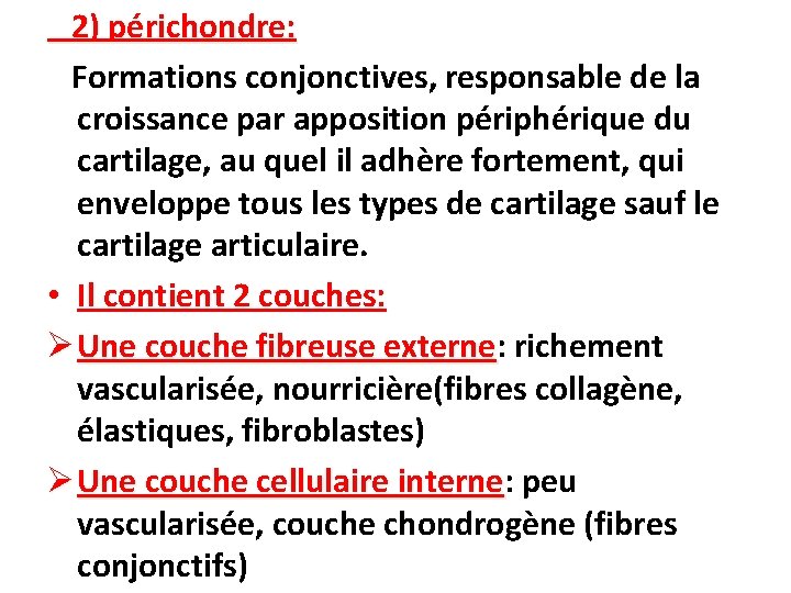 2) périchondre: Formations conjonctives, responsable de la croissance par apposition périphérique du cartilage, au