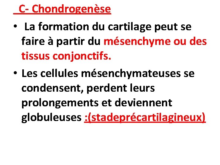 C- Chondrogenèse • La formation du cartilage peut se faire à partir du mésenchyme