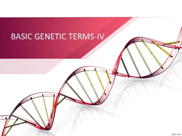 BASIC GENETIC TERMS-IV 