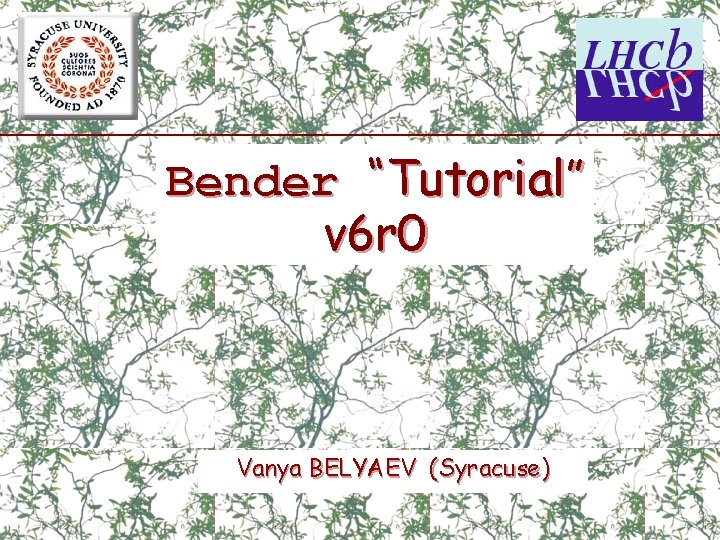 Bender “Tutorial” v 6 r 0 Vanya BELYAEV (Syracuse) 