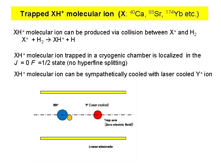 Trapped XH+ molecular ion (X: 40 Ca, 88 Sr, 174 Yb etc. ) XH+