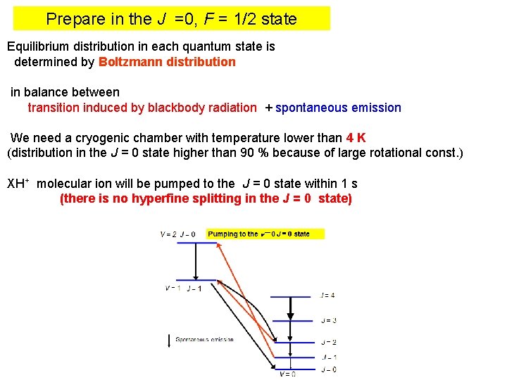 Prepare in the J =0, F = 1/2 state Equilibrium distribution in each quantum