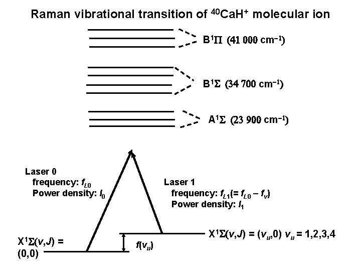 Raman vibrational transition of 40 Ca. H+ molecular ion B 1 P (41 000