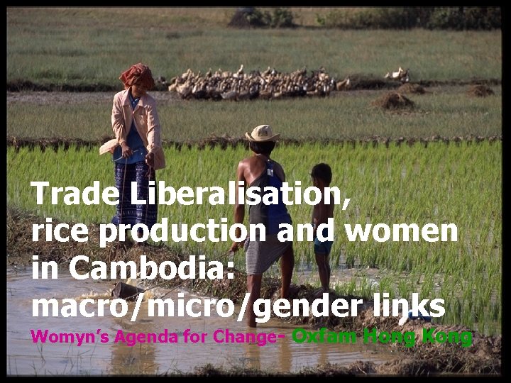 Trade Liberalisation, rice production and women in Cambodia: macro/micro/gender links Womyn’s Agenda for Change-