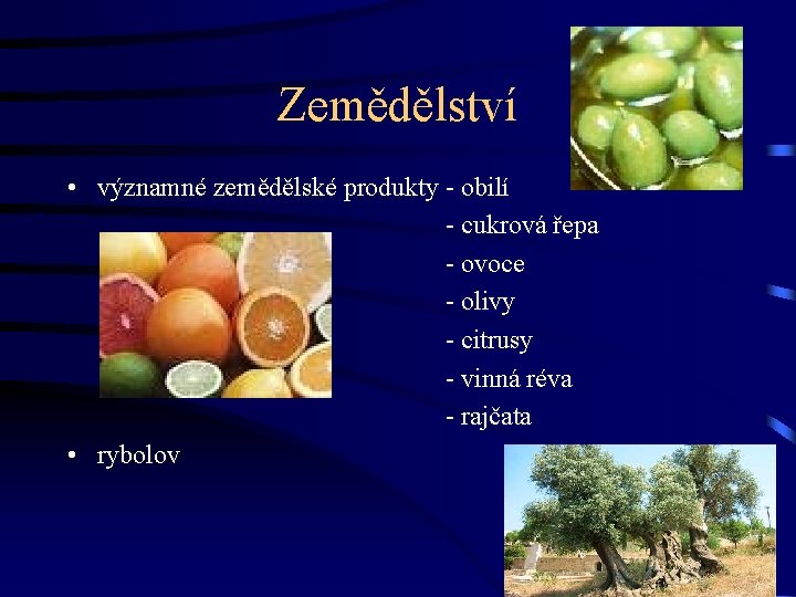 Zemědělství • významné zemědělské produkty - obilí - cukrová řepa - ovoce - olivy