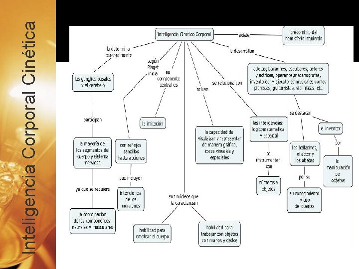Inteligencia Corporal Cinética 
