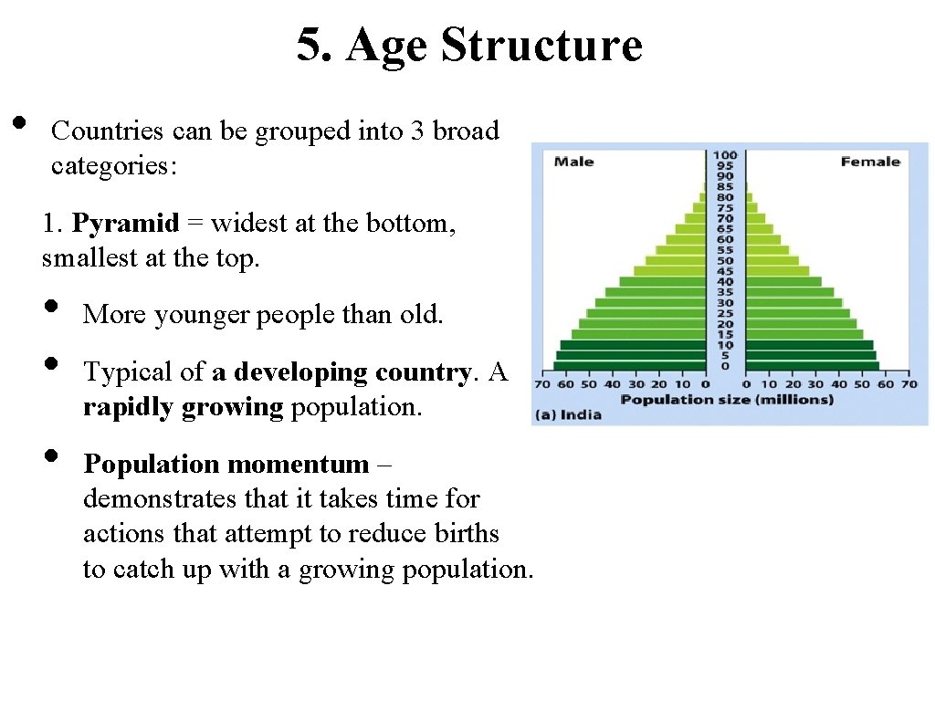 5. Age Structure • Countries can be grouped into 3 broad categories: 1. Pyramid