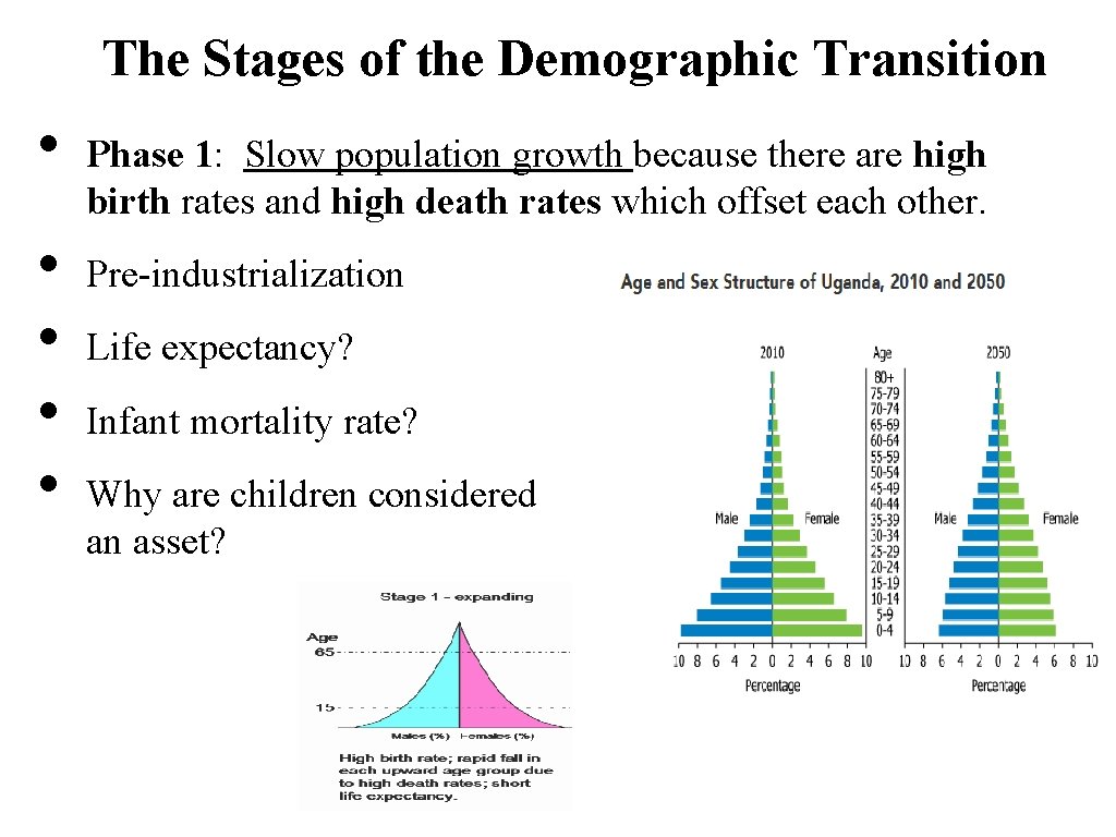 The Stages of the Demographic Transition • • • Phase 1: Slow population growth