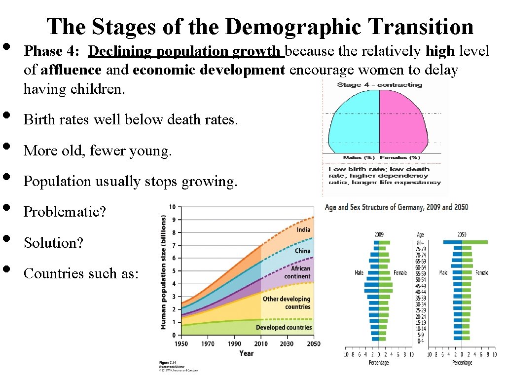  • • The Stages of the Demographic Transition Phase 4: Declining population growth