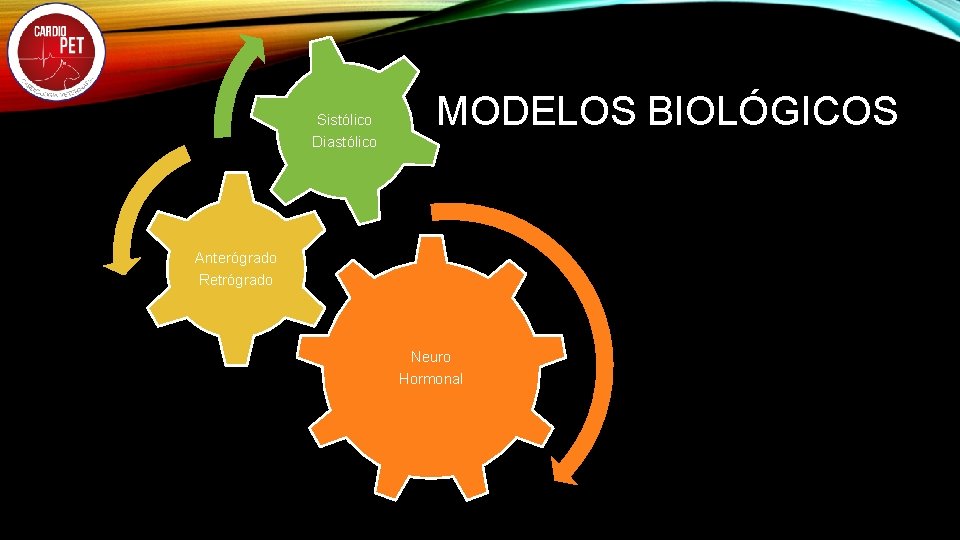 Sistólico Diastólico MODELOS BIOLÓGICOS Anterógrado Retrógrado Neuro Hormonal 