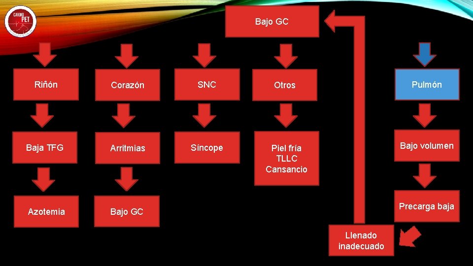 Bajo GC Riñón Corazón SNC Otros Pulmón Baja TFG Arritmias Síncope Piel fría TLLC