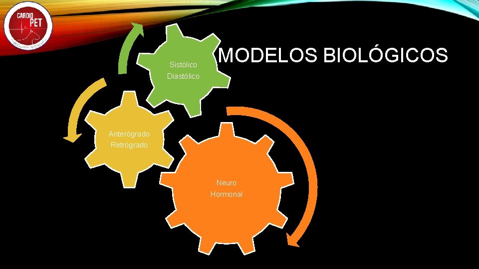 Sistólico Diastólico MODELOS BIOLÓGICOS Anterógrado Retrógrado Neuro Hormonal 