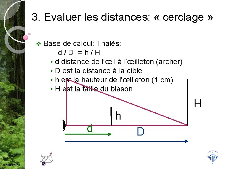 3. Evaluer les distances: « cerclage » v Base de calcul: Thalès: d/D =h/H