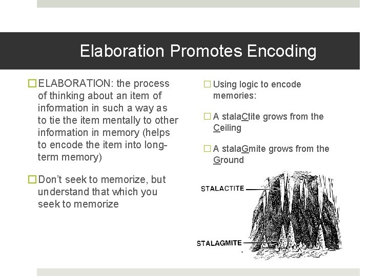 Elaboration Promotes Encoding � ELABORATION: the process of thinking about an item of information