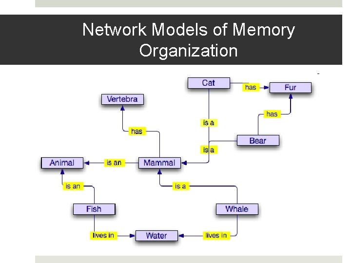 Network Models of Memory Organization 
