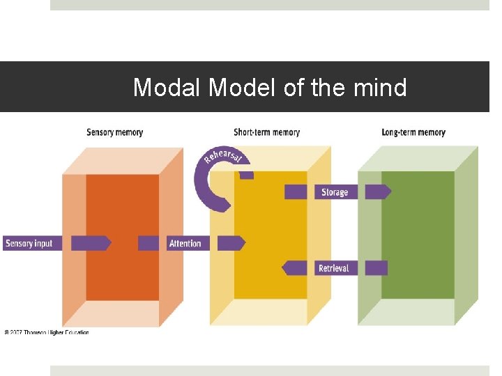 Modal Model of the mind 