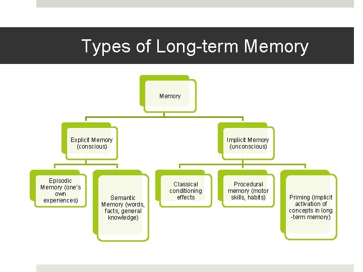 Types of Long-term Memory Explicit Memory (conscious) Episodic Memory (one’s own experiences) Semantic Memory