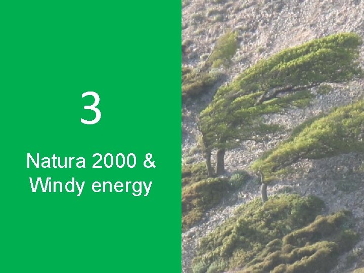 3 Natura 2000 & Windy energy 