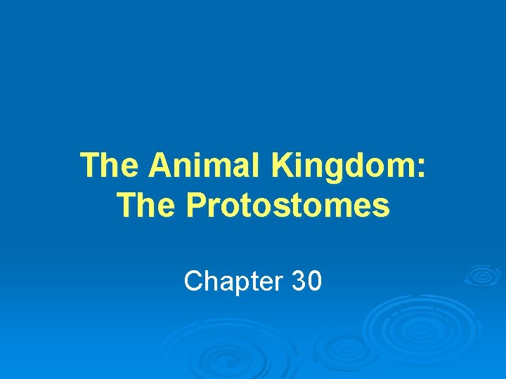 The Animal Kingdom: The Protostomes Chapter 30 