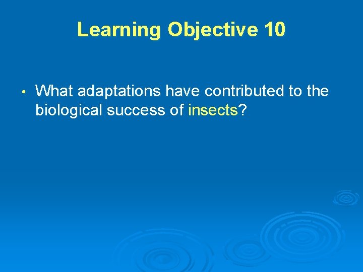 Learning Objective 10 • What adaptations have contributed to the biological success of insects?