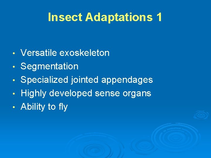 Insect Adaptations 1 • • • Versatile exoskeleton Segmentation Specialized jointed appendages Highly developed