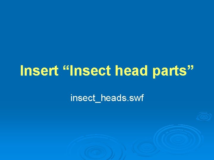 Insert “Insect head parts” insect_heads. swf 