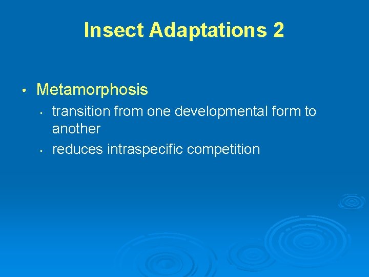 Insect Adaptations 2 • Metamorphosis • • transition from one developmental form to another
