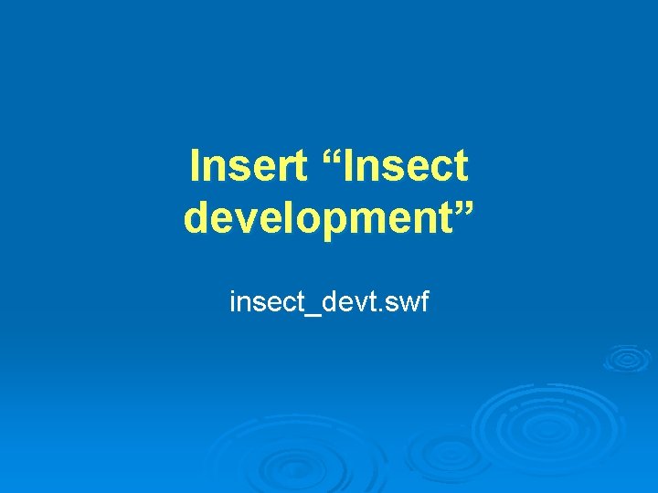 Insert “Insect development” insect_devt. swf 