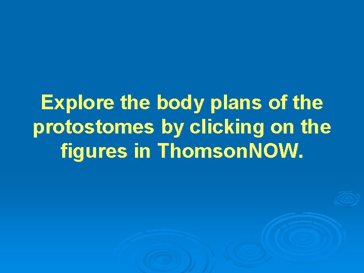 Explore the body plans of the protostomes by clicking on the figures in Thomson.