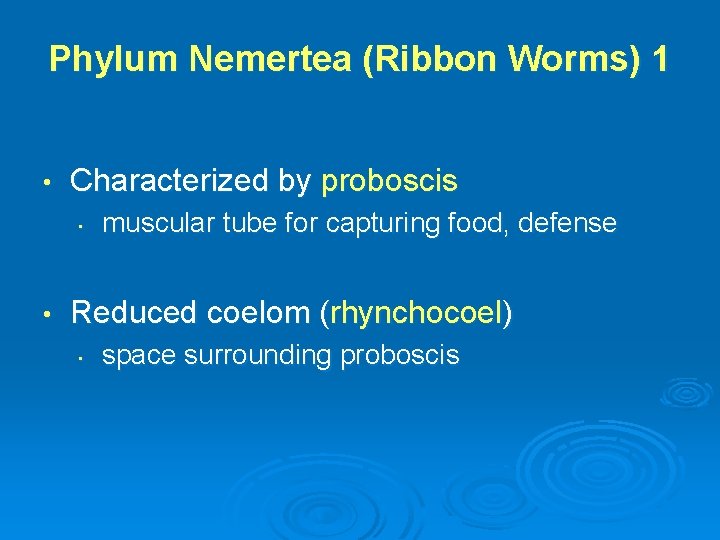 Phylum Nemertea (Ribbon Worms) 1 • Characterized by proboscis • • muscular tube for