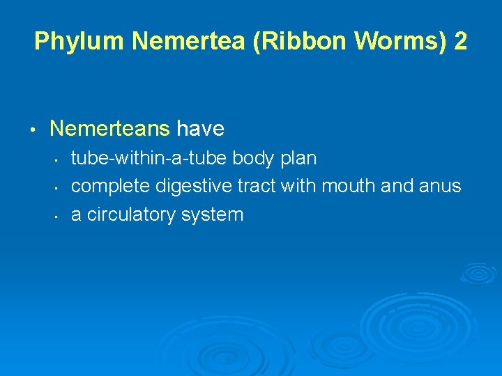 Phylum Nemertea (Ribbon Worms) 2 • Nemerteans have • • • tube-within-a-tube body plan
