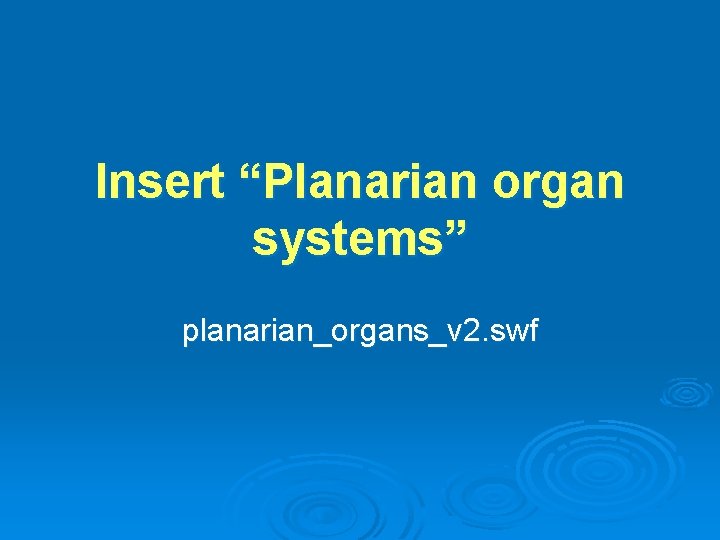 Insert “Planarian organ systems” planarian_organs_v 2. swf 